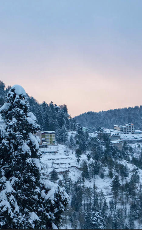 Shimla