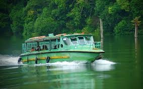 Periyar Forest Boating | Cultural Shows