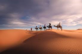 Jaisalmer Sightseeing and Desert Experience