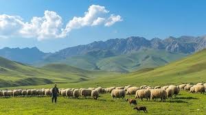 Srinagar – Pahalgam