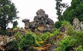 Mussoorie Local Sightseeing