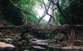 Guwahati → Shillong