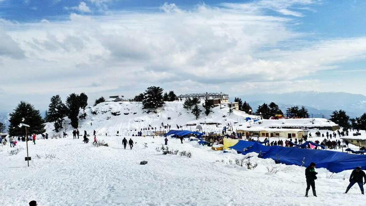 Shimla Local Sightseeing