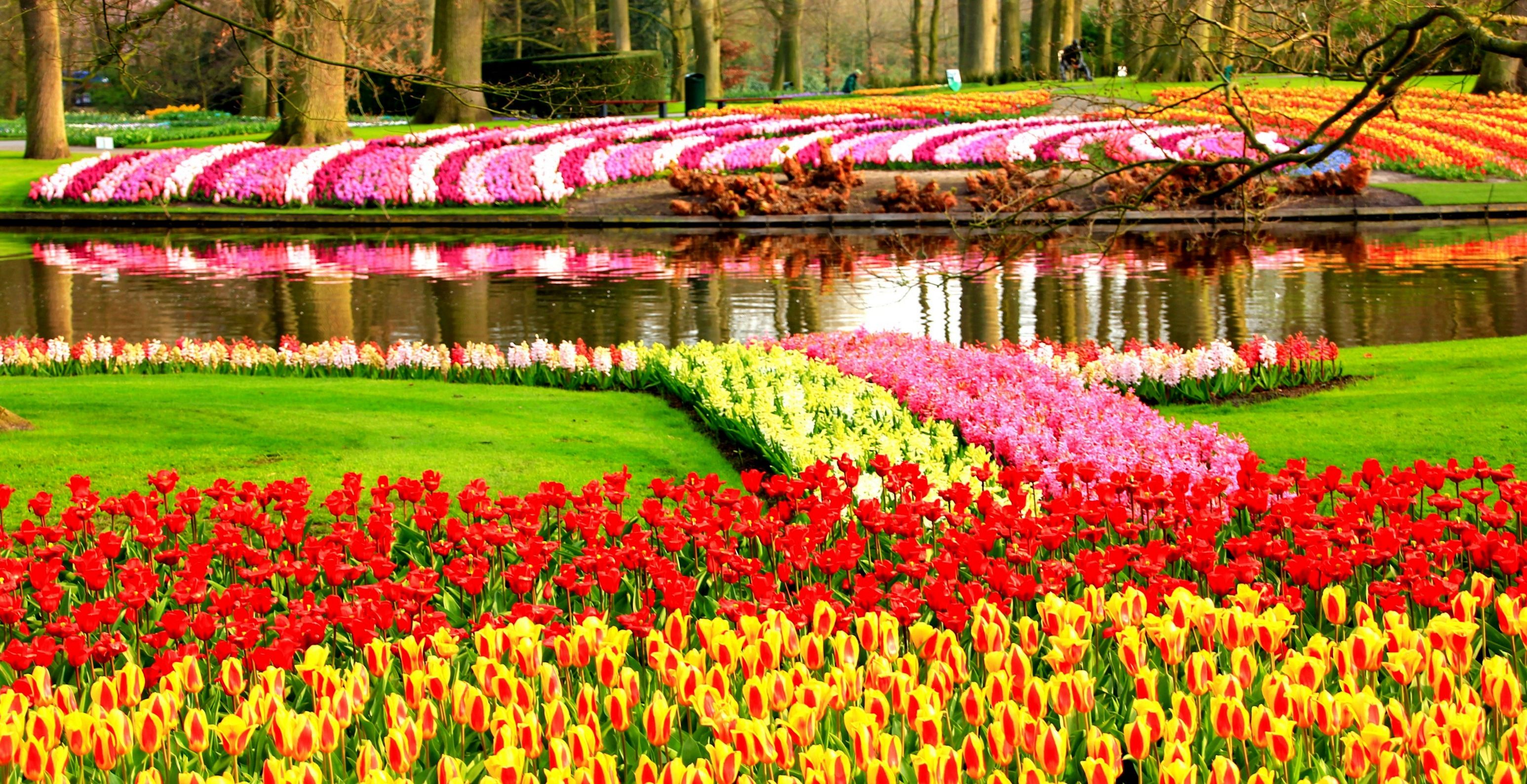 Day 4: Keukenhof Gardens / Giethoorn Excursion