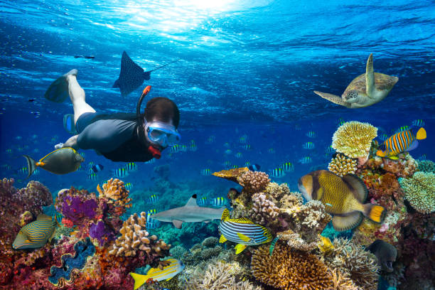 Day 2: Snorkeling and Water Adventures