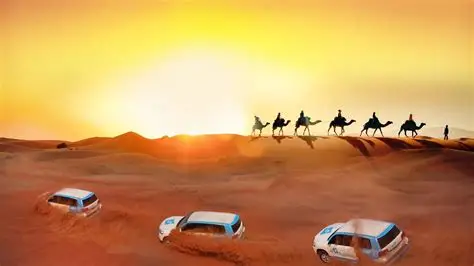 Day 3: Desert Safari Adventure