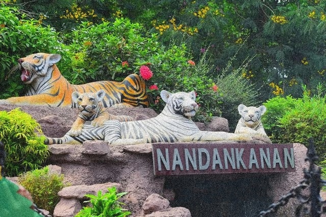 Day 6: Bhubaneswar - Nandankanan Zoological Park - Ekamra Haat